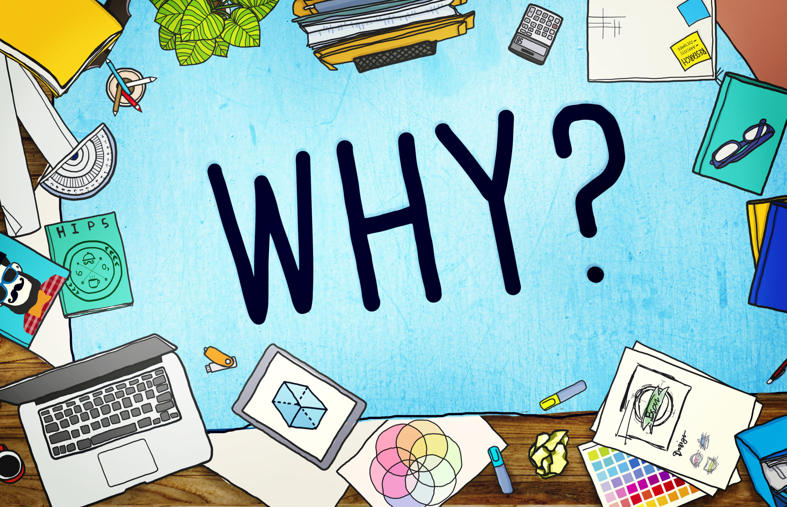 Why Question Reason Curious Confuse Concept